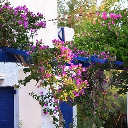 Syros Galissas